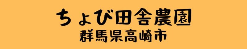 ちょび田舎（安藤寛樹）　群馬県高崎市で営農